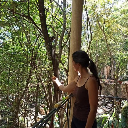 Casa Da Mata Descanso E Sossego Na Natureza Ibicoara Εξωτερικό φωτογραφία