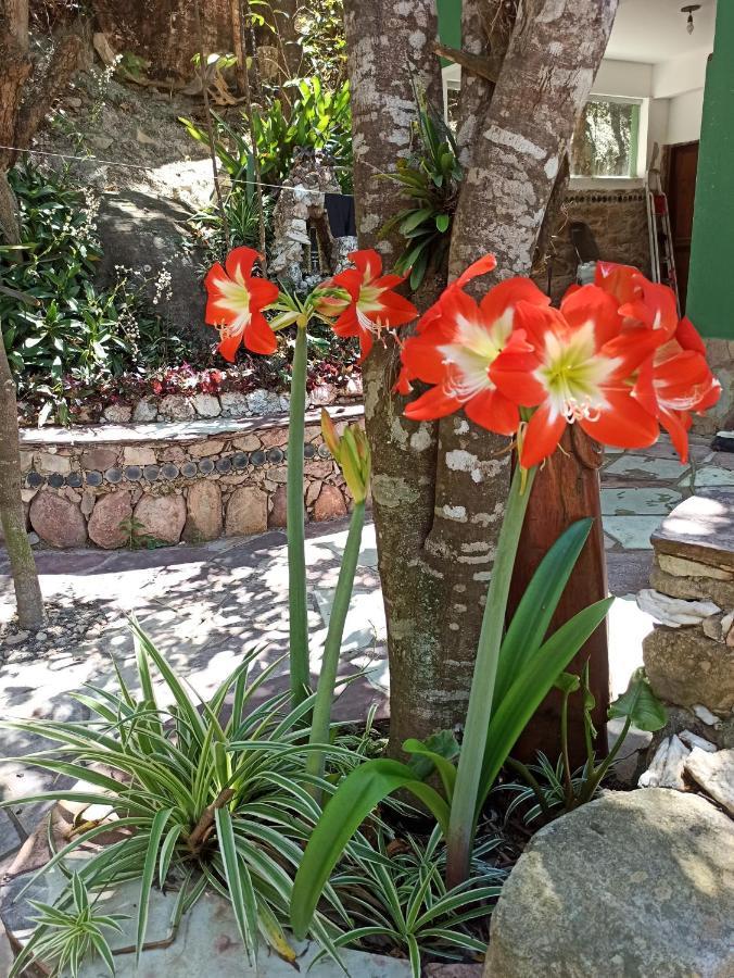 Casa Da Mata Descanso E Sossego Na Natureza Ibicoara Εξωτερικό φωτογραφία