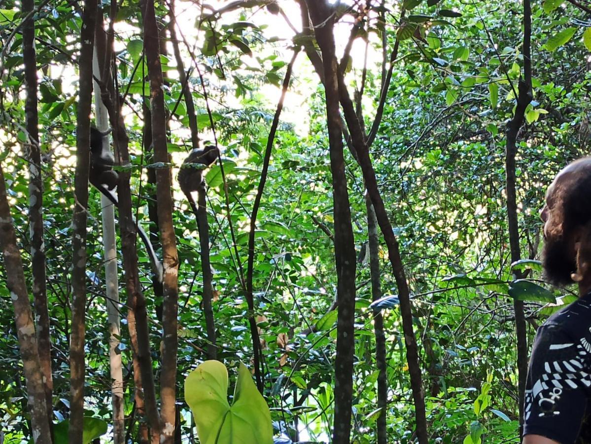 Casa Da Mata Descanso E Sossego Na Natureza Ibicoara Εξωτερικό φωτογραφία