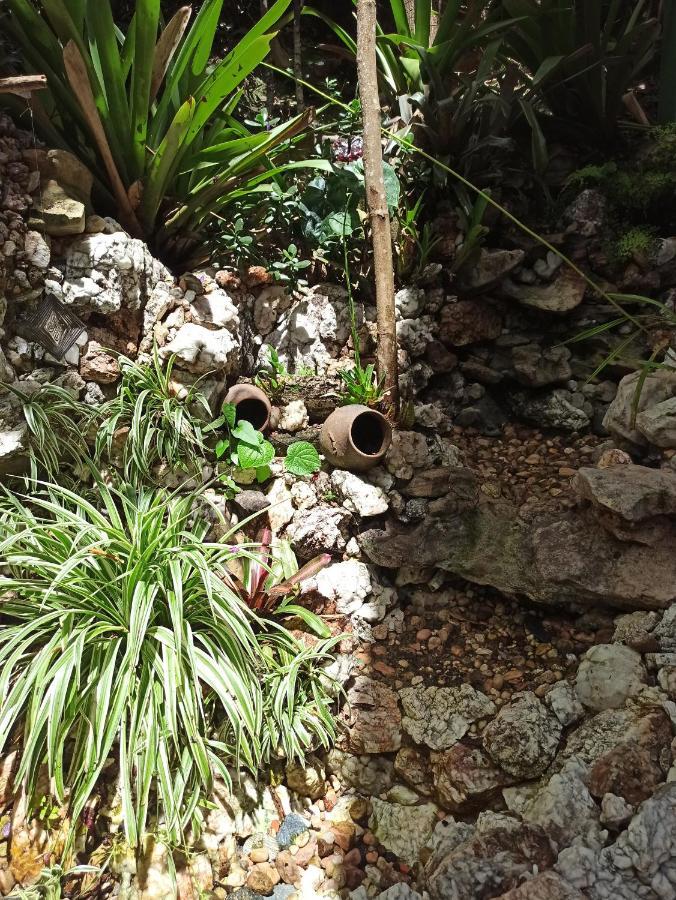 Casa Da Mata Descanso E Sossego Na Natureza Ibicoara Εξωτερικό φωτογραφία