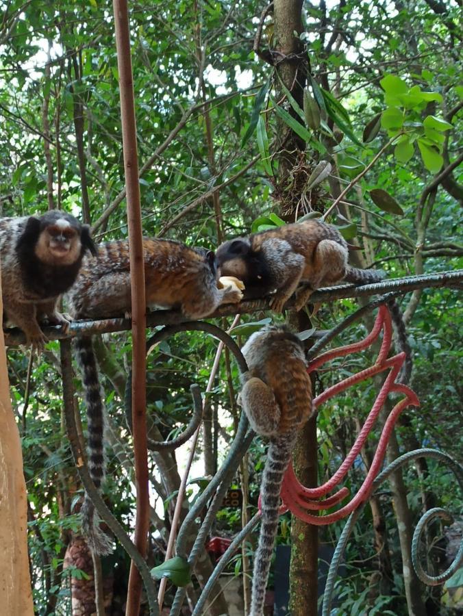 Casa Da Mata Descanso E Sossego Na Natureza Ibicoara Εξωτερικό φωτογραφία
