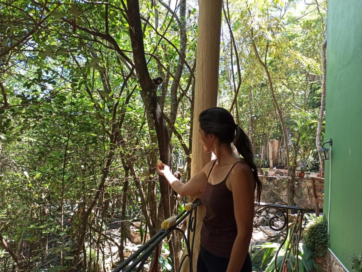 Casa Da Mata Descanso E Sossego Na Natureza Ibicoara Εξωτερικό φωτογραφία